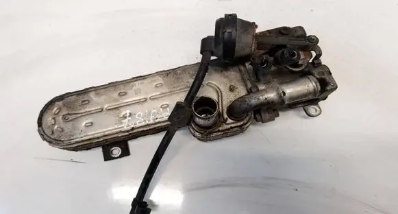 Volkswagen PASSAT B6 EGR valve cooler 03G131513J