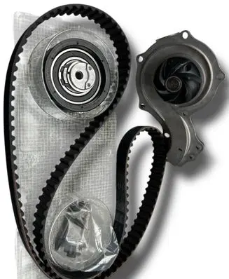 Ford Focus Timing belt 1611876280