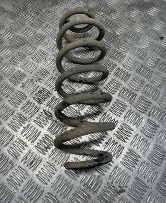 Rear coil spring