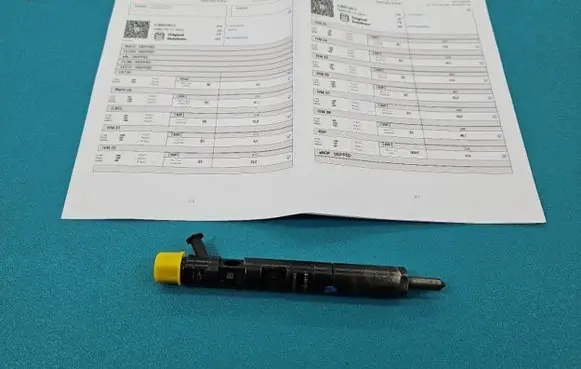Renault Megane II Fuel injector EJBR01801Z IMPRK1439403