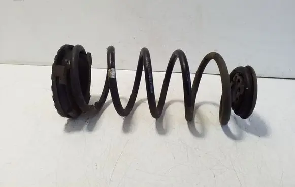 Rear coil spring