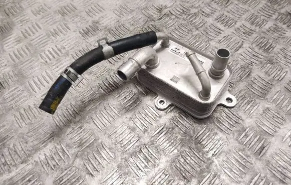 KIA EV6 Electric car engine cooler 254M0GI000