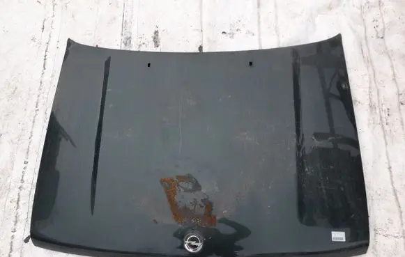 Engine bonnet/hood