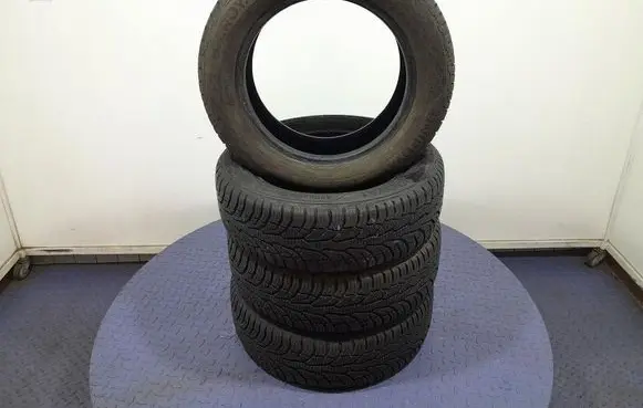 Skoda Fabia Mk3 (NJ) R17 C winter tire 4024068001041