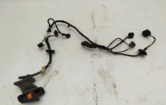 Skoda Roomster (5J) Front door wiring loom 5J0971120CQ