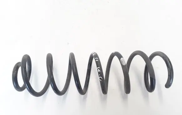Renault Megane III Rear coil spring 550200060R