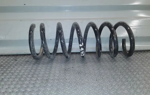 Renault Scenic RX Rear coil spring