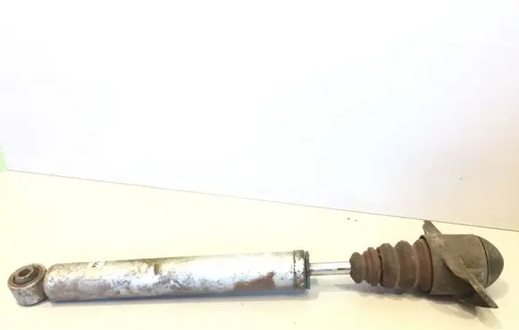 Volkswagen Golf V Rear shock absorber/damper 760144