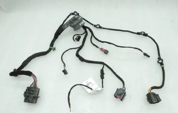 Front door wiring loom