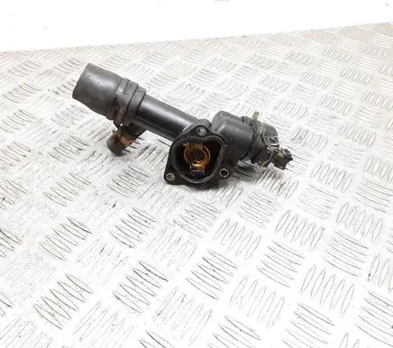 Thermostat/thermostat housing