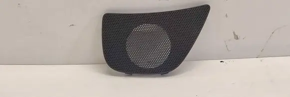 Panel speaker