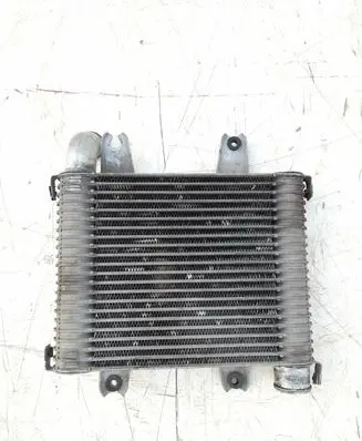KIA Carnival Intercooler radiator 0K55313550