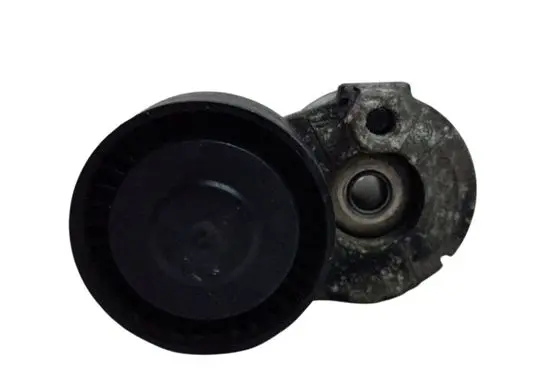 Nissan Juke I F15 Generator/alternator belt tensioner 1002602