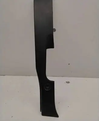 Rear/tail light trim molding
