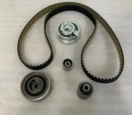 Volkswagen PASSAT B6 Timing belt 03L198119C