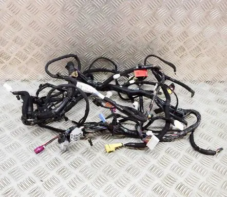 Tesla Model 3 Other wiring loom 159317400C 311769000B