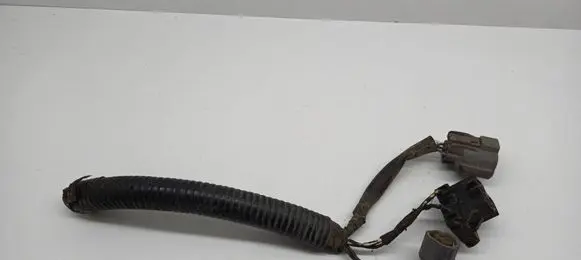 Honda Accord Headlight/headlamp wiring loom/harness 
