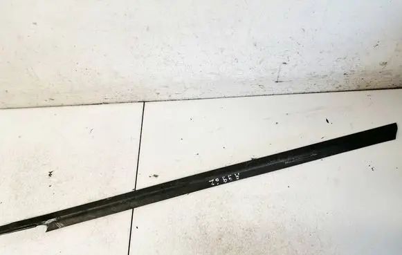 Peugeot 207 Rear door glass trim molding 96862165