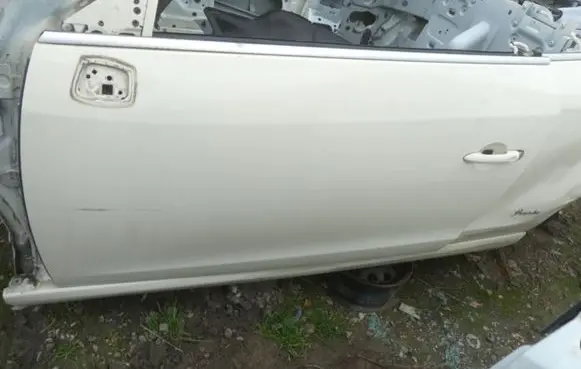 Renault Megane III Front door