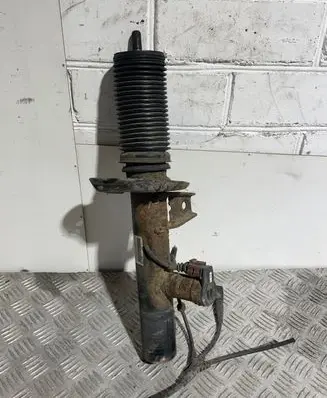 Volkswagen PASSAT B6 Front shock absorber/damper 3C0413031D E4604301 1057002