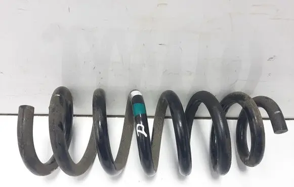 Rear coil spring