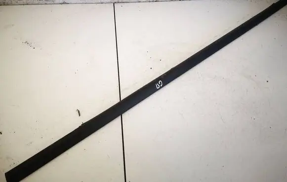 Renault Scenic II - Grand scenic II Rear door glass trim molding 