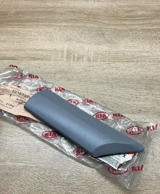 Fender trim (molding)