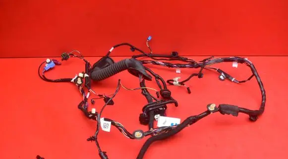 Tesla Model 3 Other wiring loom 1067963-00-E