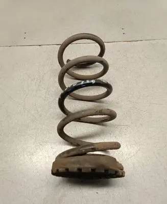 Rear coil spring