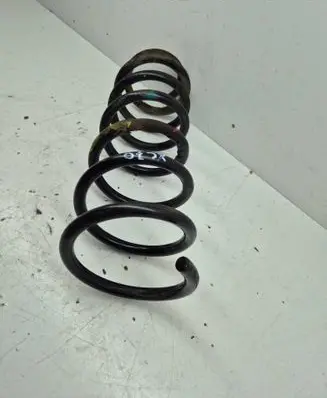 Rear coil spring