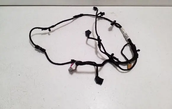 Front door wiring loom