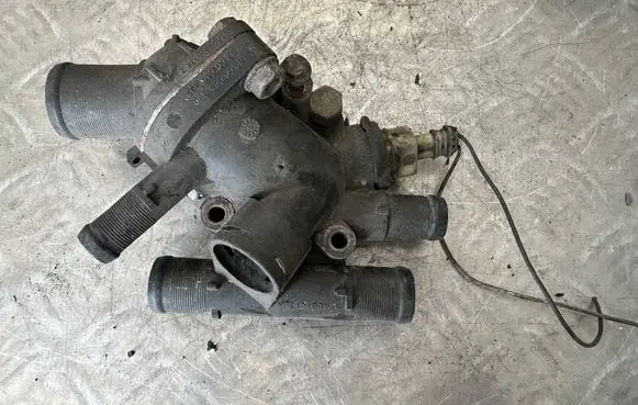 Thermostat/thermostat housing