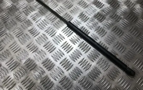 Tailgate/trunk strut/damper