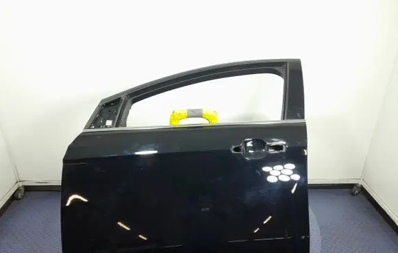 Ford Focus ST Front door