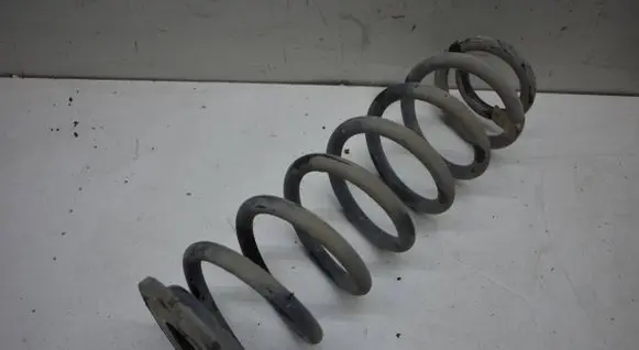 Rear coil spring
