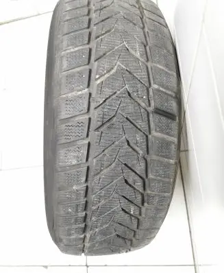 BMW 5 E60 E61 R17 winter tire Vredestein Winternxtremes 22555r17