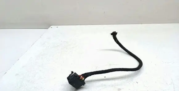 Other wiring loom