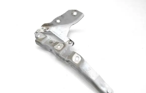 Opel Cascada Tailgate/trunk/boot hinge 13453267