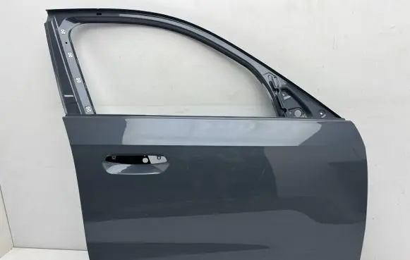 BMW X1 U11 Front door BMWU11DPPSUL1