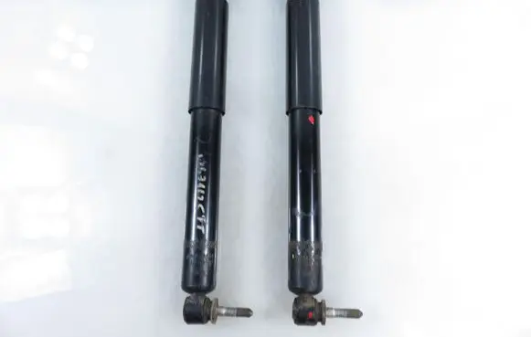 Renault Scenic II - Grand scenic II Rear shock absorber/damper MGA5651