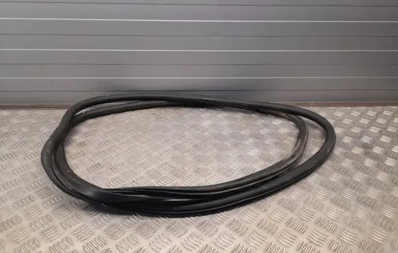 Chrysler Pacifica Sliding door rubber seal 68188729AD