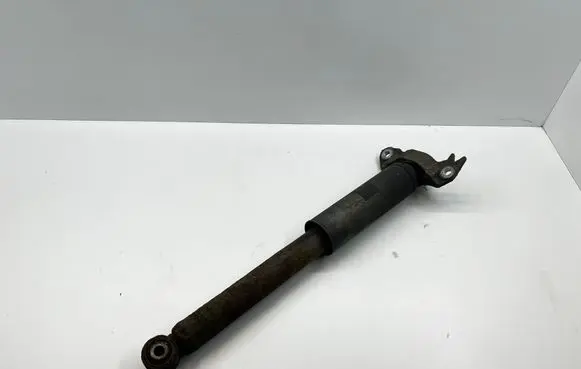 Opel Insignia A Rear shock absorber with coil spring 
