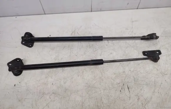 Tailgate/trunk strut/damper