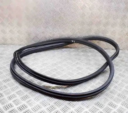 BMW iX3 G08 Rubber seal front coupe door 7393423
