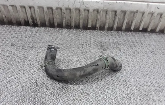 Renault Scenic I Engine coolant pipe/hose