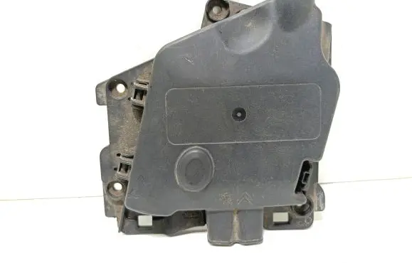 Citroen C3 Picasso Fuse module 9675123880