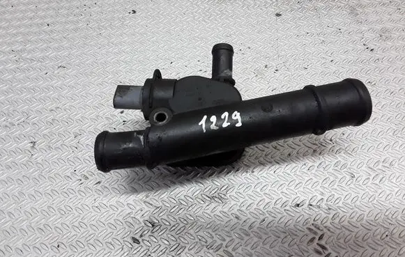 Thermostat/thermostat housing