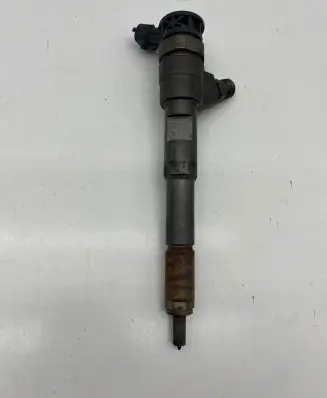 Renault Kangoo II Fuel injector 0445110485 41816 0451