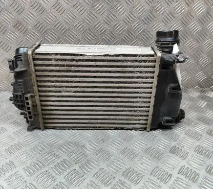 Nissan Qashqai Intercooler radiator 144614EB0A