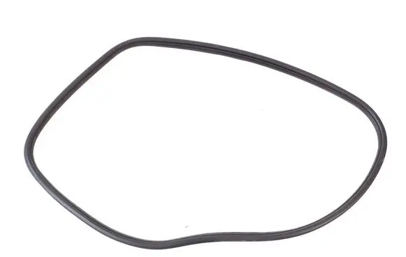 Mini Cooper Countryman F60 Rear door rubber seal (on body) 7390112